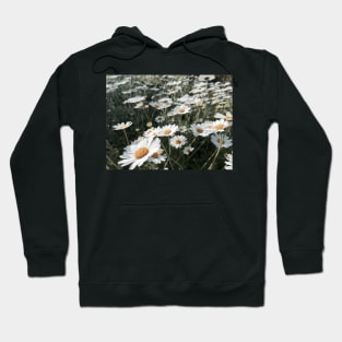 Daisy, daisy Hoodie